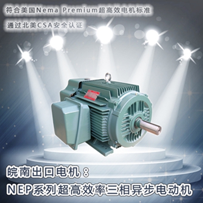 皖南電機(jī)-NEP系列超高效電機(jī)