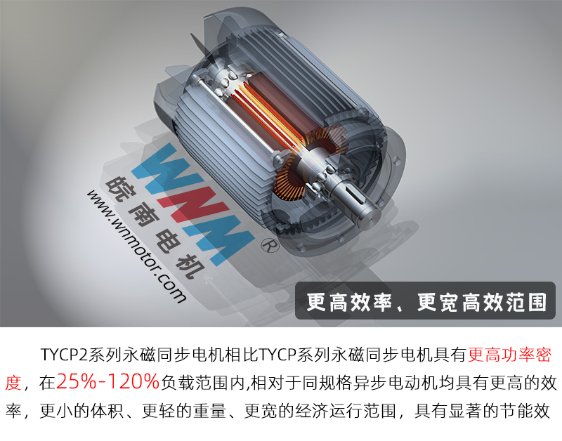 皖南電機(jī)-TYCP2永磁電機(jī)配圖