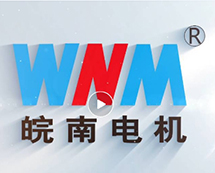 安徽皖南電機(jī)股份有限公司宣傳片（2024）正式發(fā)布